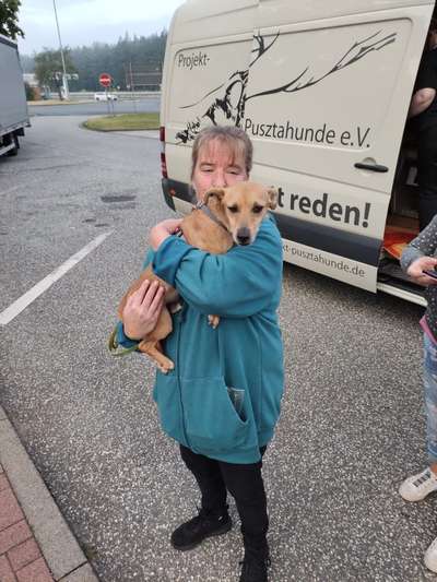 Dogorama Photo Challenge - Liebesbeweis-Beitrag-Bild