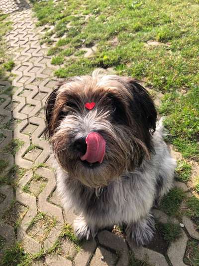 67. Handy Foto Challenge: Rotes Herz-Beitrag-Bild