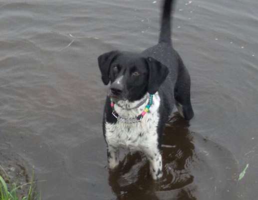 Dogorama Photo Challenge - Spieglein Spieglein . . .-Beitrag-Bild