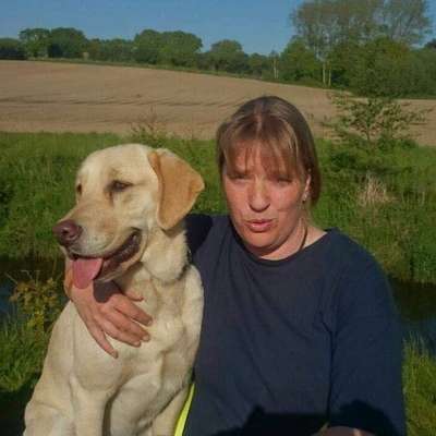 85. Foto Challenge : Schosshund-Beitrag-Bild