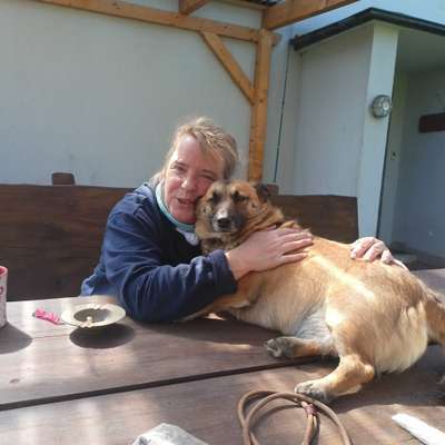 Dogorama Photo Challenge - Liebesbeweis-Beitrag-Bild