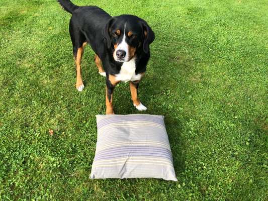 32. Farben Challenge  ** ( BUNTE ) STREIFEN **-Beitrag-Bild