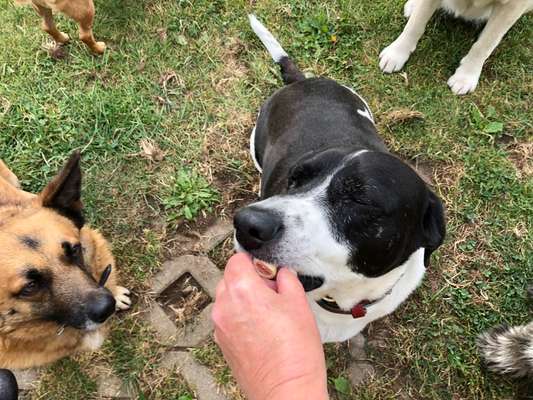 152. Foto Challenge: "Friss mir aus der Hand"-Beitrag-Bild