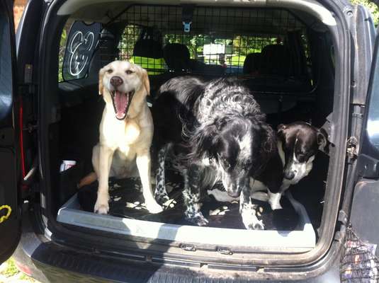 80. Foto  Challenge - Versteckt/ in einer Höhle-Beitrag-Bild