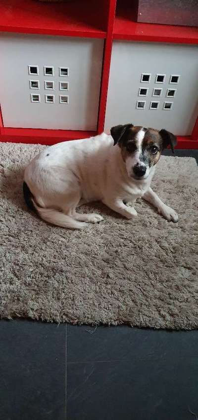 Alzheimer bzw. Demenz-Beitrag-Bild