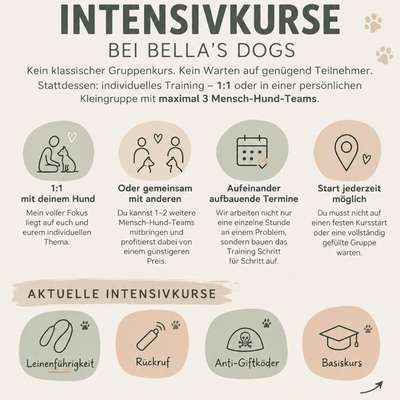 %{de_profession_title} Intensivkurse - ohne Gruppen %{location} – Dogorama