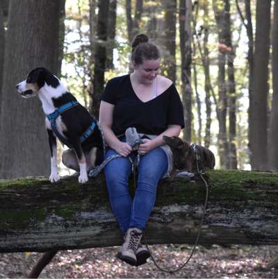 Hundetreffen-Social Walk-Bild