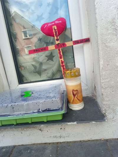 Golden Retriever-Beitrag-Bild