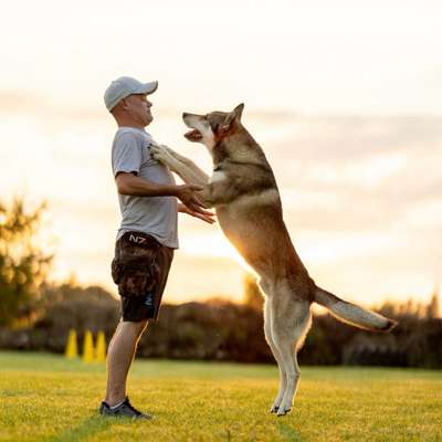 Hundetreffen-Mit Hund👣🐾🥰… ohne Strafe!!!🙌🏻-Bild