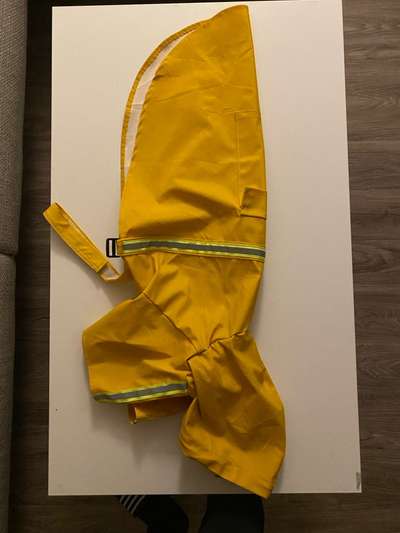 Regenmantel/Regenponcho für Hunde (mittelgroße Hunde) zu verkaufen-Beitrag-Bild
