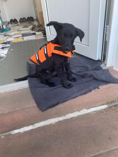 Sie werden so schnell erwachsen ...-Beitrag-Bild