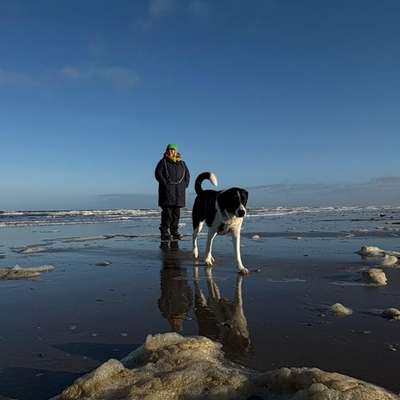 Hundetreffen-Hunderunde in Recklinghausen-Bild