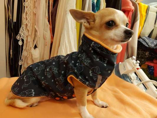 Pullis, Jacken, Hütte und alles sonstiges-Beitrag-Bild