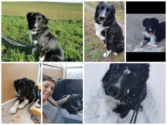 Das erste Foto-Beitrag-Bild