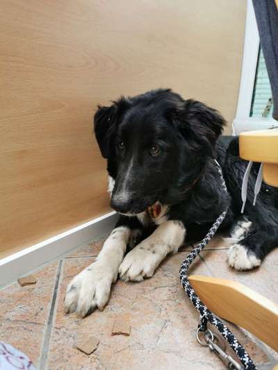 Das erste Foto-Beitrag-Bild