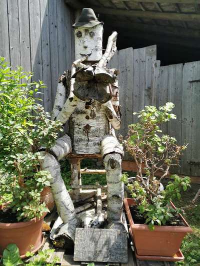 Die wunderschöne Welt mit Hund.-Beitrag-Bild