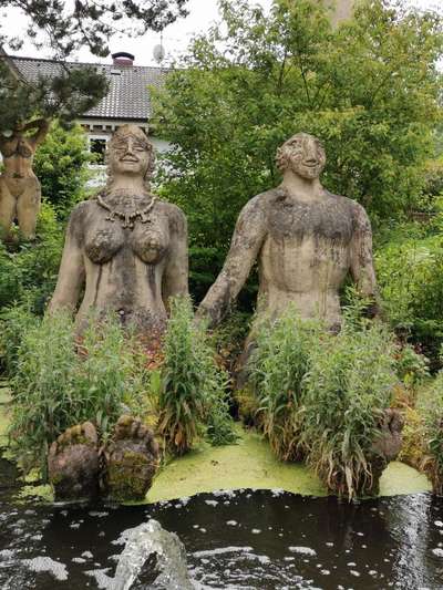 Die wunderschöne Welt mit Hund.-Beitrag-Bild