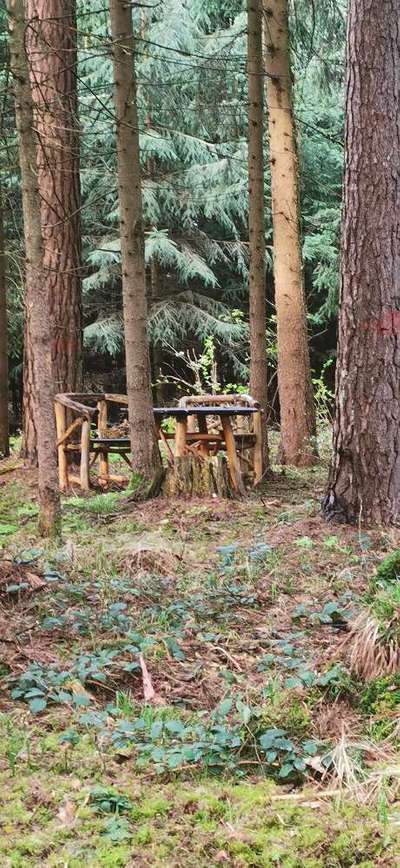 Die wunderschöne Welt mit Hund.-Beitrag-Bild