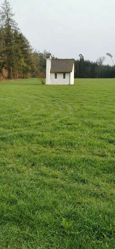 Die wunderschöne Welt mit Hund.-Beitrag-Bild