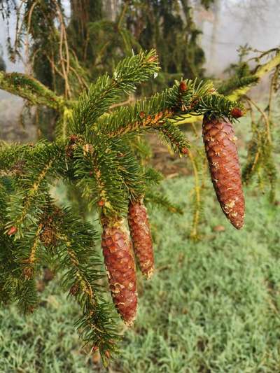 Die wunderschöne Welt mit Hund.-Beitrag-Bild