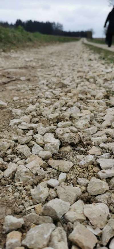 Die wunderschöne Welt mit Hund.-Beitrag-Bild