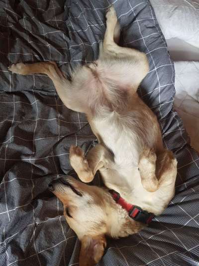 Verrückte Schlafpositionen-Beitrag-Bild