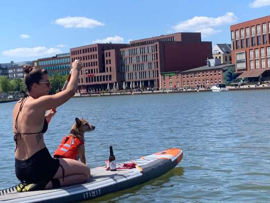 Dogorama-Monats-Challenge-Mai "Wasser"-Beitrag-Bild