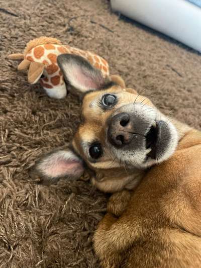 Nächtliches Schmatzen-Beitrag-Bild