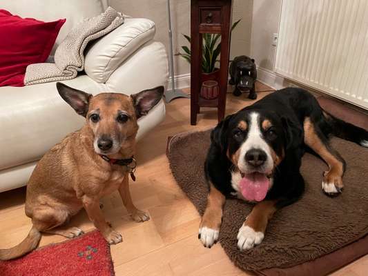 Wann ist es Zeit, sich zu verabschieden?-Beitrag-Bild