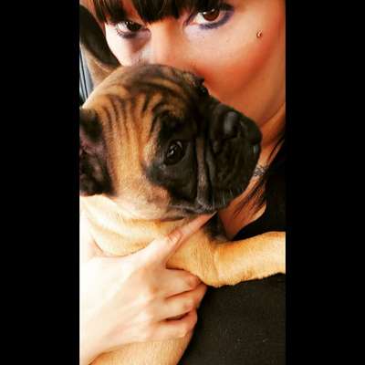 !!SELFIE MIT DEINEM LIEBLING!!-Beitrag-Bild