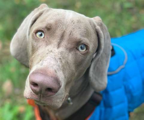 Fotochallange Nr. 57     PORTRÄT.   Beendet!!!!!!!!-Beitrag-Bild