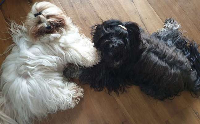 Fotochallenge liebespaare-Beitrag-Bild