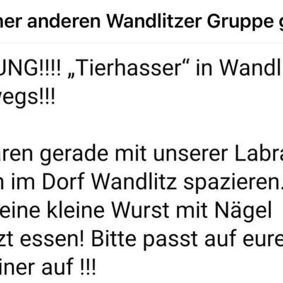 Giftköder-Achtung Köder mit Nägeln!!-Bild