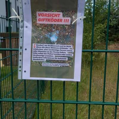 Giftköder-Vorsicht Giftköder  gefunden-Bild