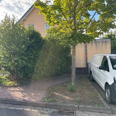 Giftköder-Blaue Kügelchen-Bild