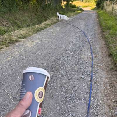 Gassirunde und Müll einsammeln?-Beitrag-Bild
