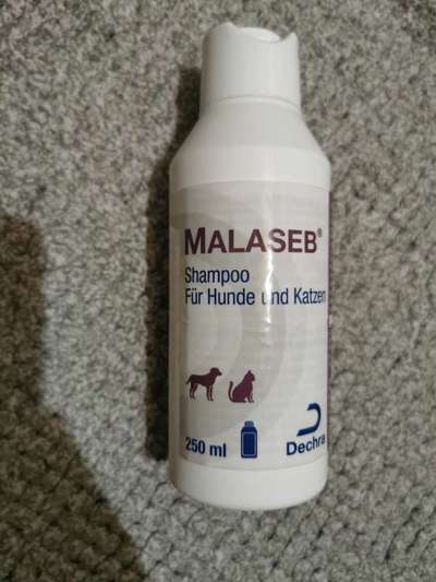 Malassezia Dermatitis-Beitrag-Bild