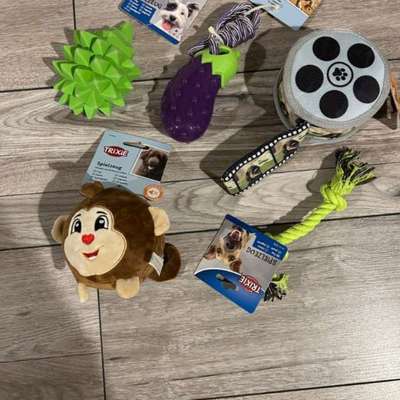 Hundezubehör-Beitrag-Bild