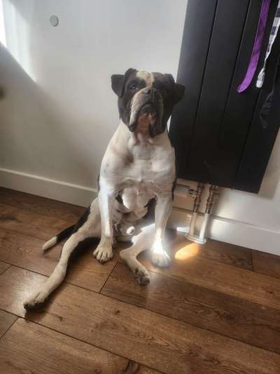 Conti Besitzer? :-)-Beitrag-Bild