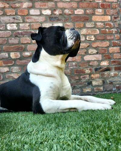 Conti Besitzer? :-)-Beitrag-Bild