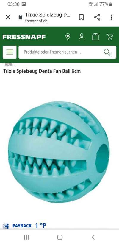 Kauspielzeug-Beitrag-Bild