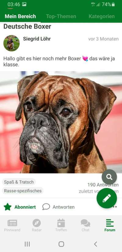 Boxer ???-Beitrag-Bild