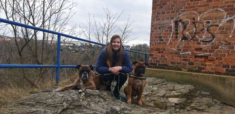 Bester Freund, Hundekumpel - zeigt her!-Beitrag-Bild