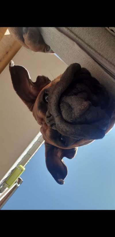 Fotochallange Nr. 6 Die irrsten Blicke-Beitrag-Bild