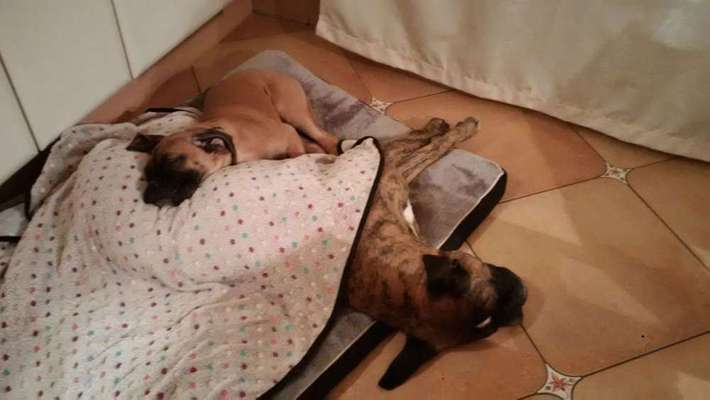 Lieblings Schnappschuss?-Beitrag-Bild