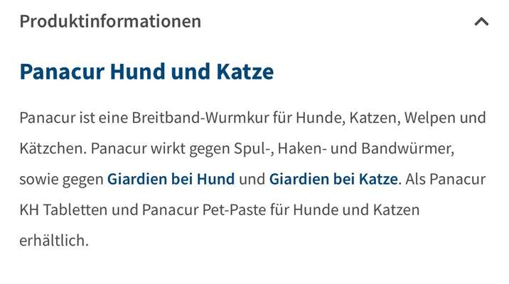 Rüde mutiert nach Kastration zum Kot Junkie-Beitrag-Bild