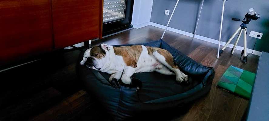 Conti Besitzer? :-)-Beitrag-Bild