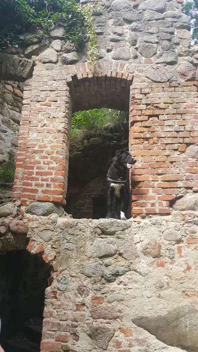 Lieblingsbild-Beitrag-Bild