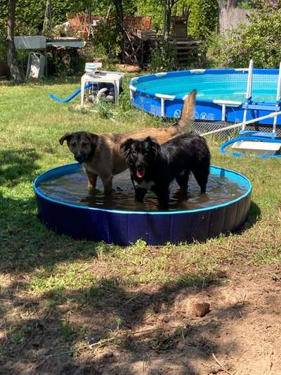 Fotochallenge Nr. 67: Euer Lieblingsbild-Beitrag-Bild