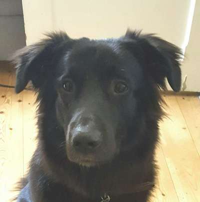 Fotochallange Nr. 57     PORTRÄT.   Beendet!!!!!!!!-Beitrag-Bild